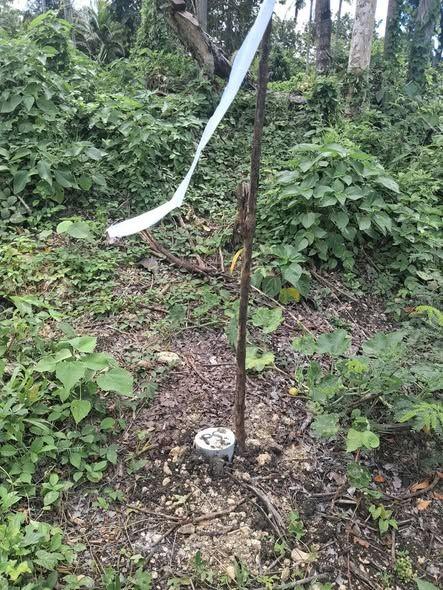 Multiple residential lots available - San Isidro, Baclayon with Seaview