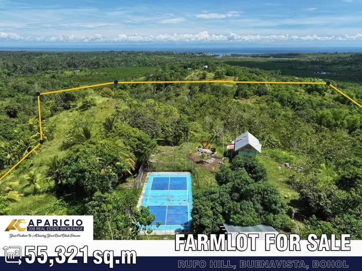 5.5 Hectare Titled Farmlot with Sea View in Rufo Hill, Buenavista