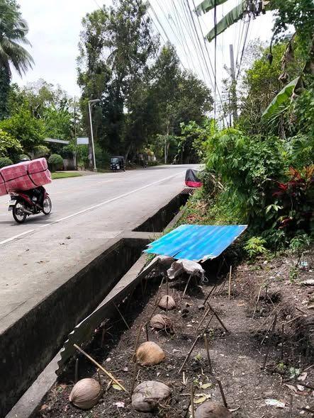 Residential Lot for Sale Along Highway - Loay, Bohol (1,126 sqm)