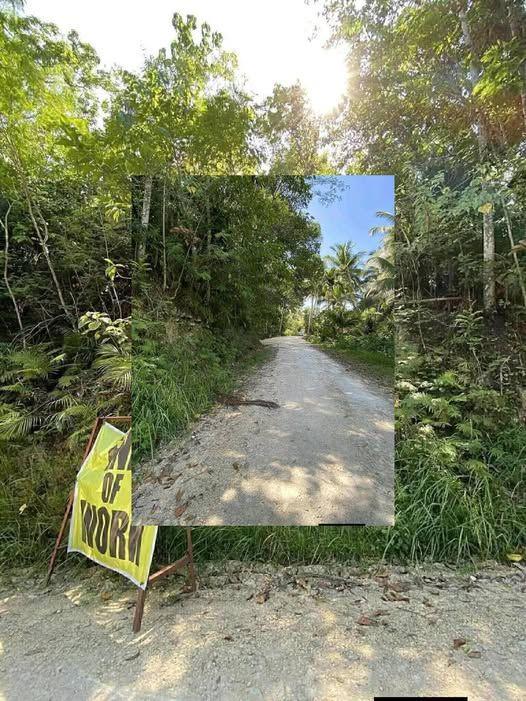 Prime Residential Lot in Corella Poblacion - Near Tarsier Sanctuary & Tagbilaran