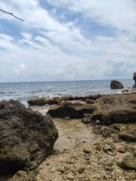 Clifftop Beach Land for Sale - 2,080 sqm in Bohol