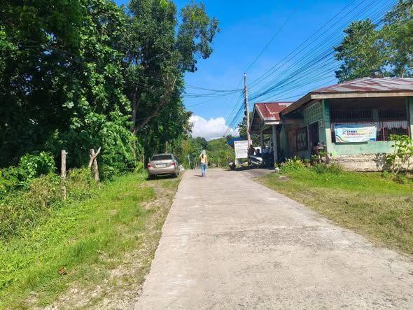 442 sqm Corner Lot for Sale in San Isidro, Baclayon - Near Highway