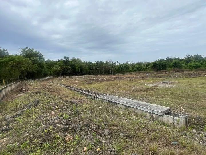 Verify title status - property description does not specify clean title or tax declaration