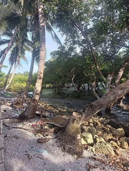 Two Beachfront Residential Lots in Loay, Bohol - Clean Titled