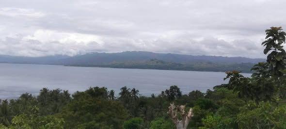 2,800 sqm Overlooking Farm Lot - Guindulman-Anda Road