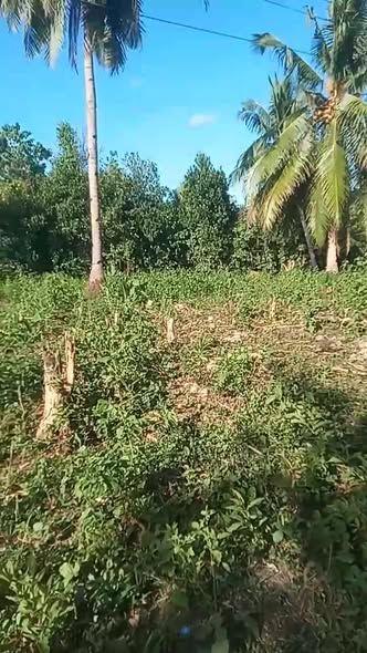 Rush Sale - Flat Residential Lot in Dagohoy, Bohol