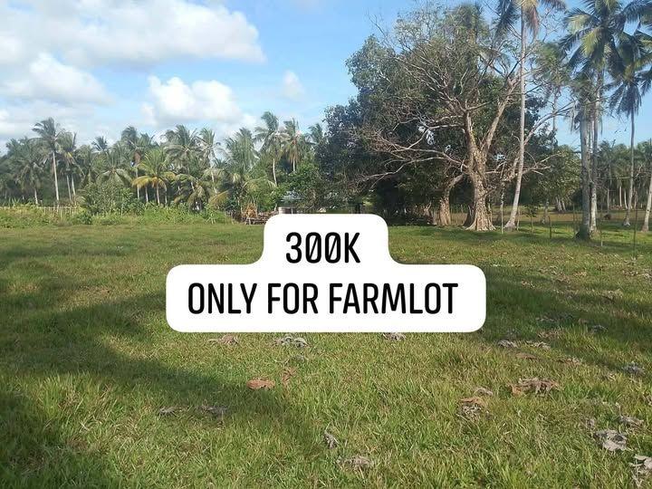 1,915 sqm Farm Lot for Sale in Guio-ang, Guindulman - ₱300K