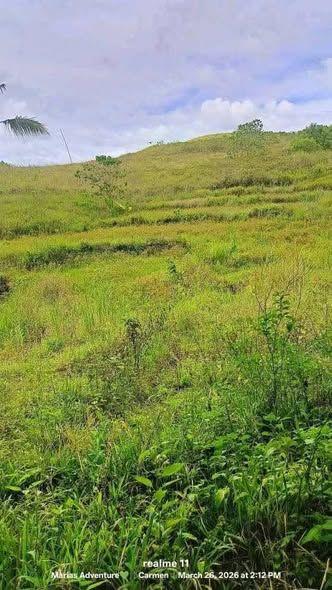 Carmen Farmlot - 5,000 sqm Agricultural Land with Tax Declaration