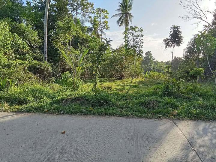 Residential Lot in Trinidad, Bohol - 1385 sqm with Clean Title