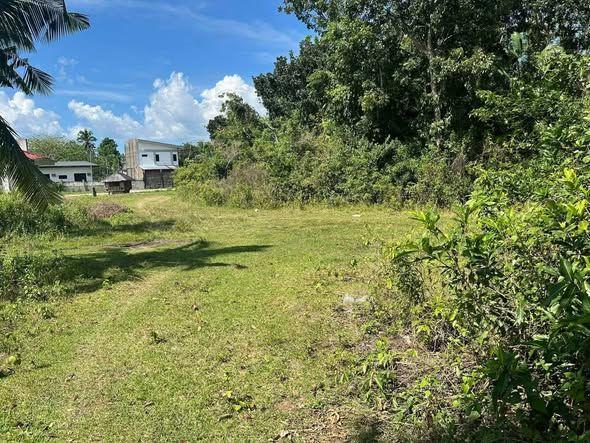 551 sqm Titled Lot in Totolan, Dauis - ₱1.38M