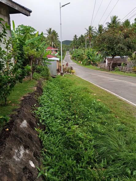 321 sqm Residential Lot for Sale in Linawan, Anda, Bohol - 700K