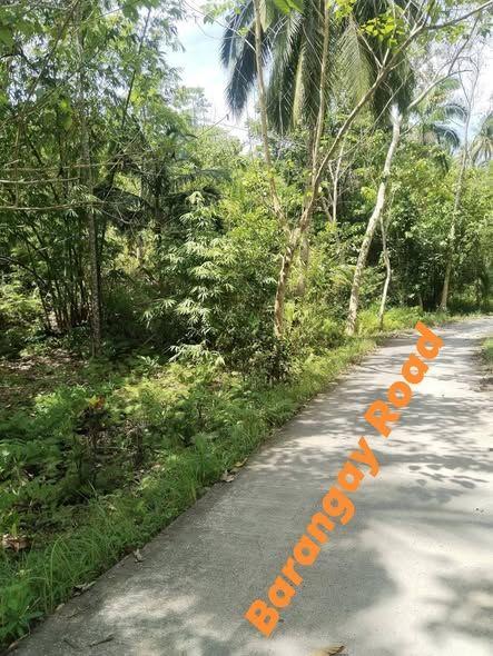 Lot for Investment in Cortes, Bohol - 530 sqm with Clean Title