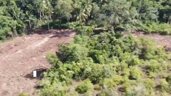 Residential Lots in Bil-isan Panglao - Near Airport & Beaches
