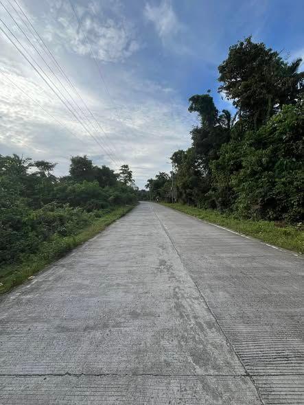 1100 sqm Lot in Panglao