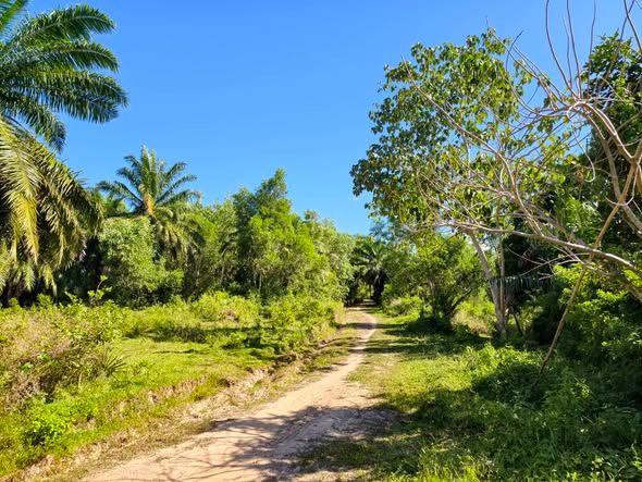 Overlooking Agricultural Lot for Sale in Union, Ubay - Near Sinandigan Beach
