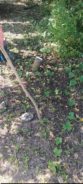 Residential Land Lot in Danao, Panglao - Clean Title - 2,587 sqm