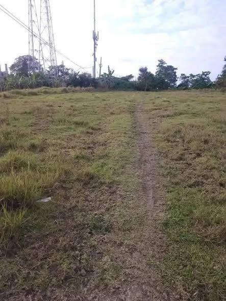300 sqm Titled Lot for Sale in Launion, Candijay - Across from National High School