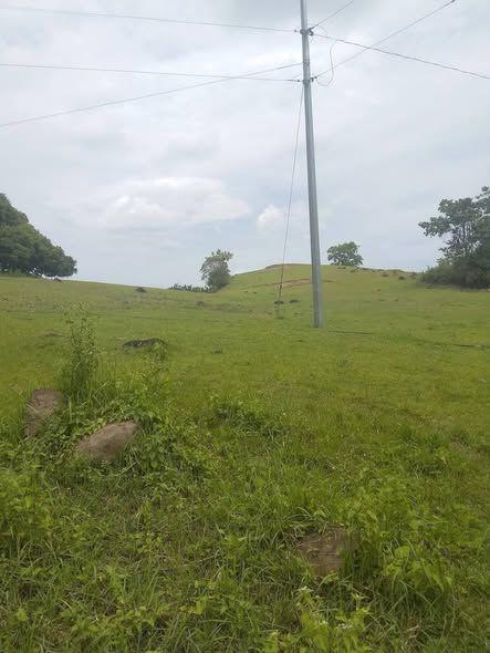 1.8 Hectare Titled Farmlot for Sale in Abihilan, Candijay, Bohol