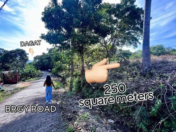 Sea View Overlooking Lot - 250sqm in Cutcutan, Valencia, Bohol