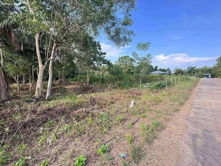 Residential Lot in Dauis - 1,165 sqm, Clean Title, Ready for Construction