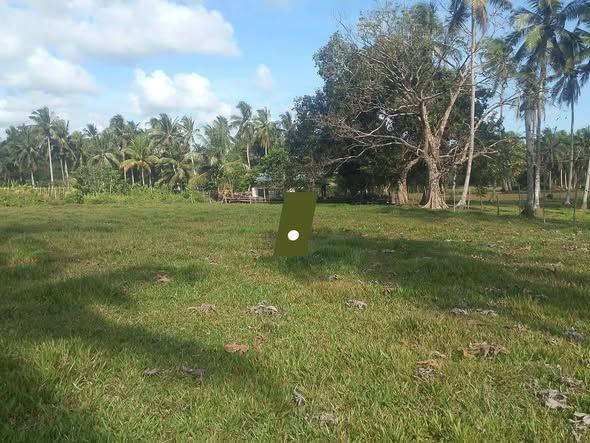 1,915 sqm Farm Lot in Guio-ang, Guindulman - Perfect for Livestock
