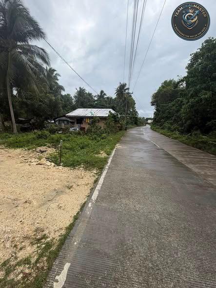 658sqm Residential Lot Near Beach & Airport - Tangnan, Panglao