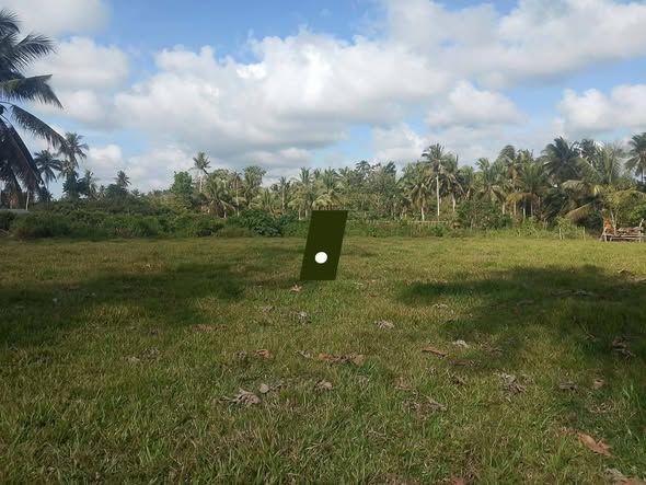 1,915 sqm Farm Lot for Sale in Guio-ang, Guindulman - Perfect for Livestock