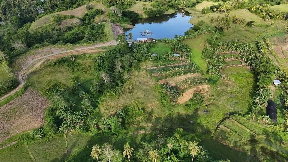 Ernsville Farmlot Dos Land - Mabini, Bohol