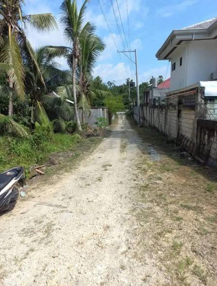 Titled Lots for Sale in Tagbilaran City - 1000sqm & 500sqm