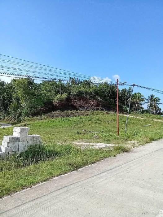 Two Clean Titled Residential Lots in Sagasa, Balilihan - 2,500/sqm
