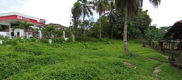 Prime Commercial Lot in Corella Along National Highway - 2,664 sqm with Clean Title