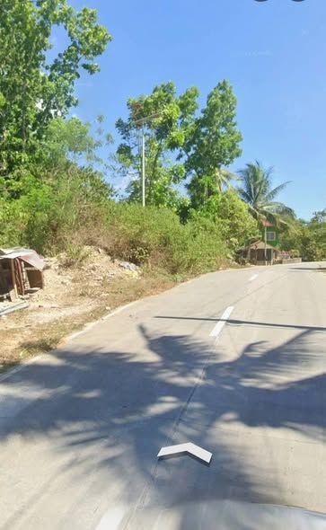 Emergency Lot Sale in San Isidro, Tagbilaran - Highway Access, Clean Title