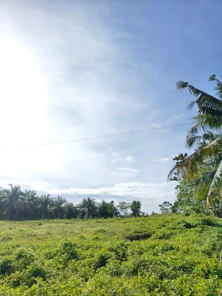 Farmlot in Ubay, Bohol - 7,399 sqm