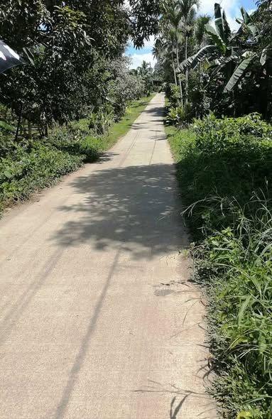 Lot for Sale in Maribojoc, Bohol - 307 sqm