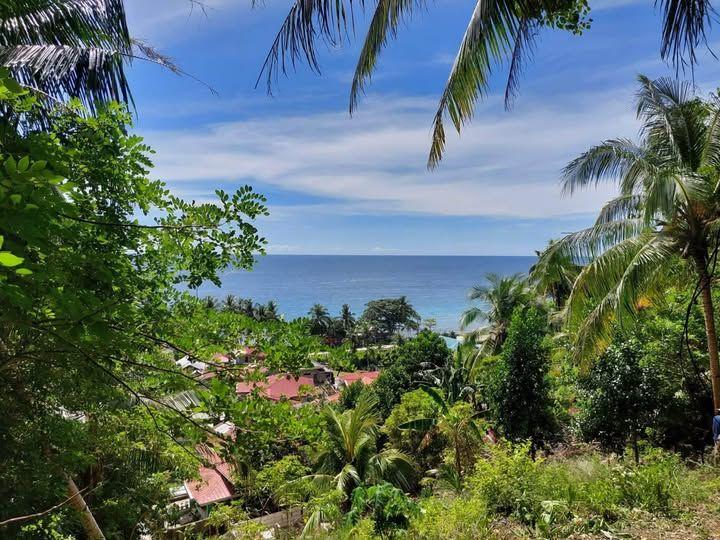 Scenic Hillside Overlooking Land in Jagna with Sea View