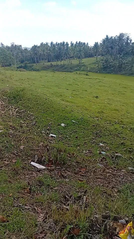1000 sqm Commercial/Residential Lot Along Highway - Alicia, Bohol
