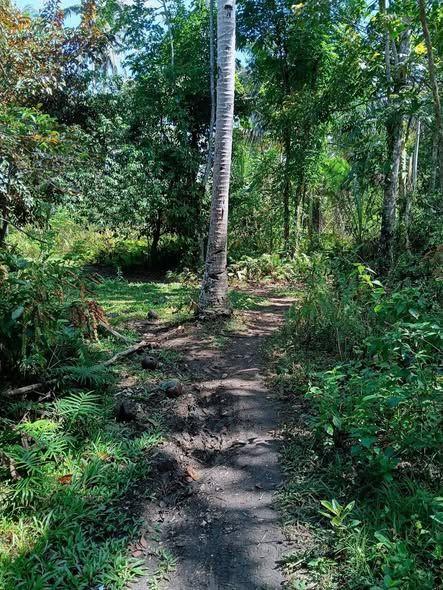 500sqm Lot for Sale near Balilihan Exit - 650K