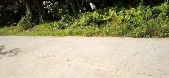 Multiple Residential Lots for Sale in Catigbian