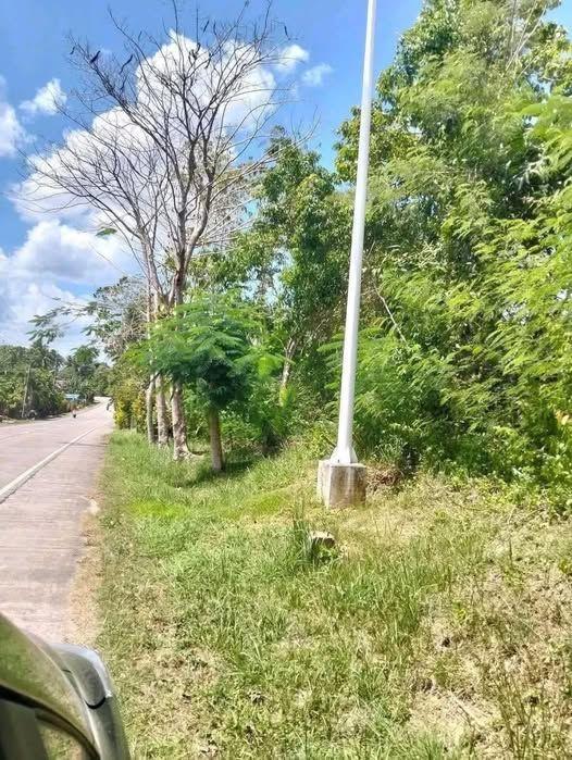 5000sqm Titled Lot Along Highway - Maribojoc, Bohol