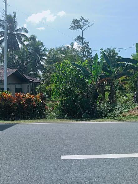 Highway-Adjacent Titled Land in Catigbian - 500 sqm Subdivision Available