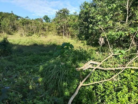 Verify title status with seller - not explicitly stated