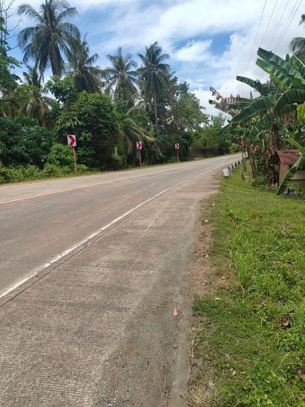 Commercial/Residential Lot in Guindulman - 5,900 sqm, Highway Access, Clean Title