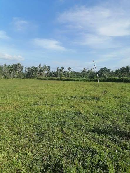 Verify ownership and title status - not mentioned in listing