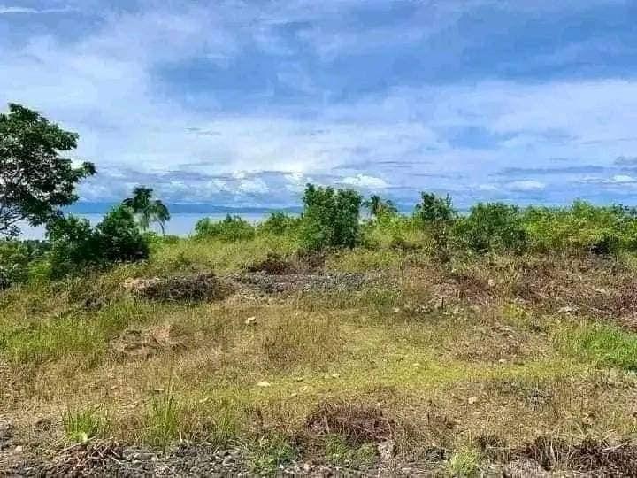 Overlooking Seaview Lot with Cebu City View - Cogon Sur, Loon, Bohol