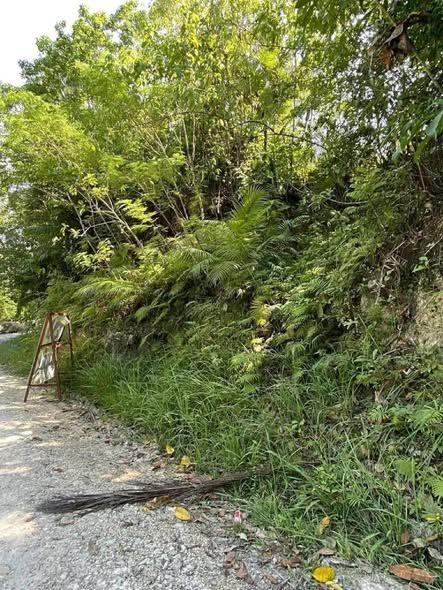 Prime Residential Lot in Corella Poblacion - Rush Sale