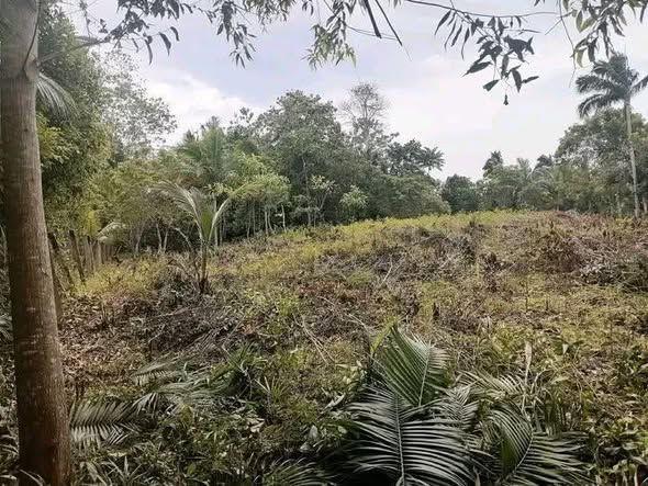 1,351 sqm Titled Lot for Sale in San Isidro, Tagbilaran City