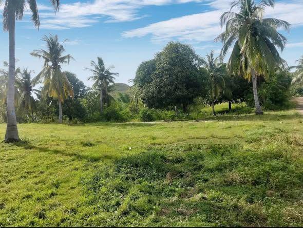 1,463 sqm Titled Land in Cabantian, Guindulman - Near Highway