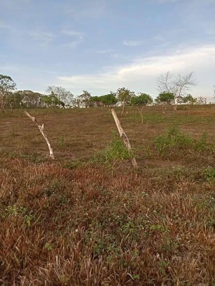 5.1 Hectare Titled Farm Lot in Dagohoy, Bohol - ₱60/sqm