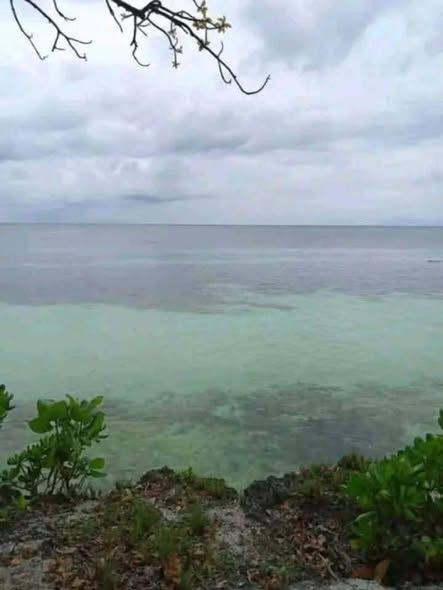 1,700 sqm Beach Lot for Sale in Loon, Bohol - Clean Title