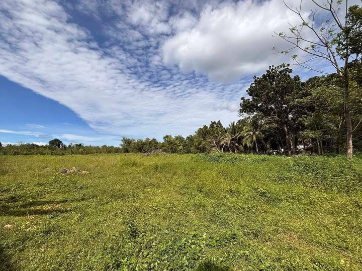 150sqm Titled Lot for Sale in Tabalong, Dauis - Near Highway & Schools